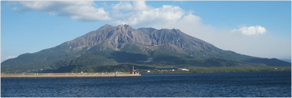 海･陸両方を担う運輸のプロフェッショナル第一海運株式会社